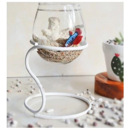 Paket Aquarium Mini Cupang Aesthetic | Akuarium Kaca Bulat Stand Besi | Hiasan Pajangan Meja Estetik