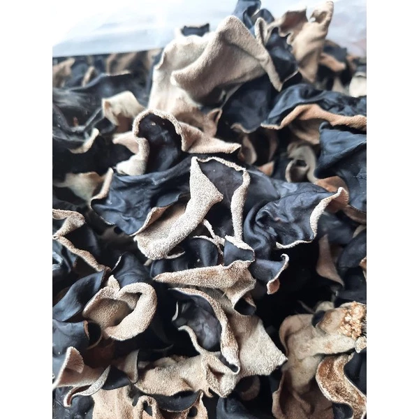JAMUR KUPING KERING-JAMUR KUPING HITAM KERING 1KG-JAMUR KUPING HITAM KERING SUPER-JAMUR KUPING KERING-JAMUR KUPING HITAM KERING PREMIUM GRADE A- Jamur Kuping Kering